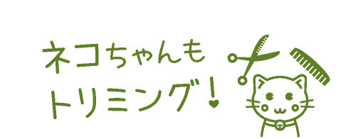 ネコちゃんもトリミング！